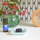 kinokoto　炭のチョコラ12個入り