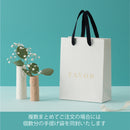 FAVOR ギフトカード モンステラコース リボンBOXタイプ